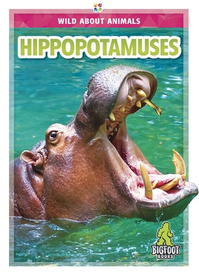Hippopotamuses by Nichols, Rhonda E.