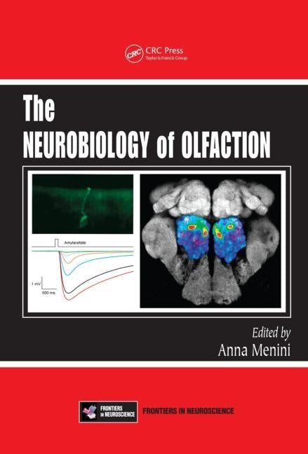 The Neurobiology of Olfaction by Menini, Anna