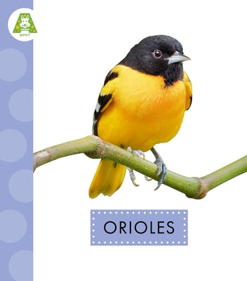 Orioles by Suen, Anastasia