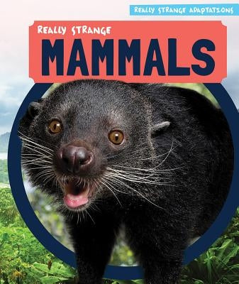 Really Strange Mammals by Levy, Janey