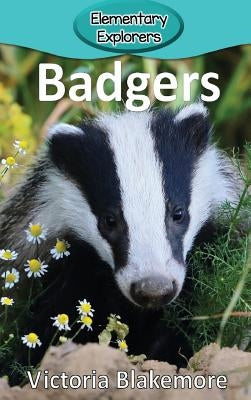 Badgers by Blakemore, Victoria