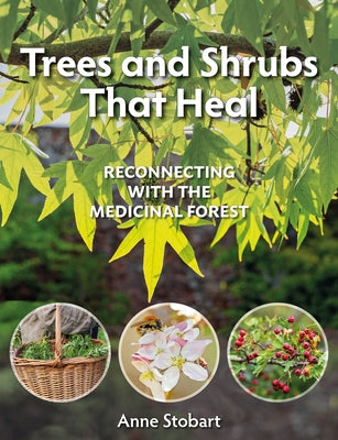 Trees and Shrubs That Heal: Reconnecting with the Medicinal Forest by Stobart, Anne