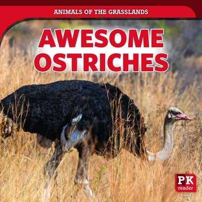 Awesome Ostriches by Emminizer, Theresa