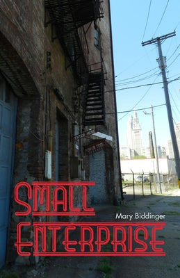 Small Enterprise by Biddinger, Mary