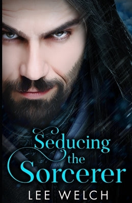 Seducing the Sorcerer by Welch, Lee