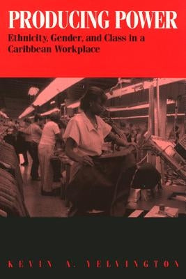 Producing Power: Ethnicity, Gender, and Class in a Caribbean Workplace by Yelvington, Kevin