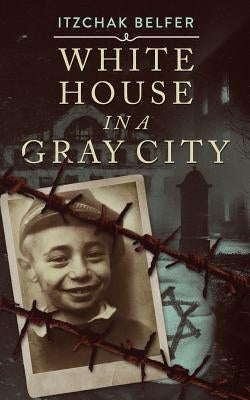 White House in a Gray City by Belfer, Itzchak
