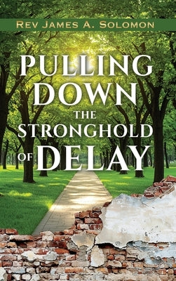 PULLING DOWN the STRONGHOLD of DELAY by Solomon, James A.