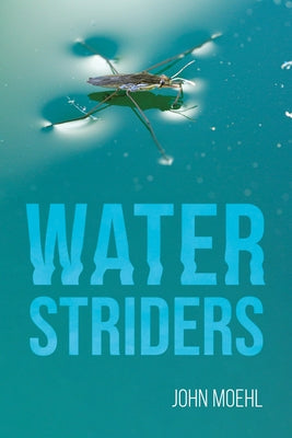 Water Striders by Moehl, John