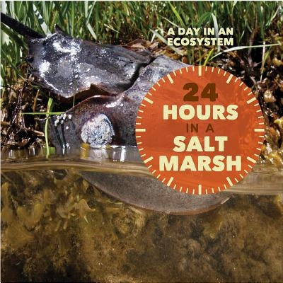 24 Hours in a Salt Marsh by Peterson, Christy