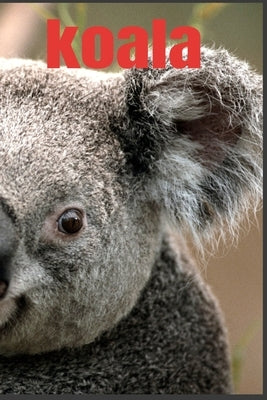 koala by Design, Art