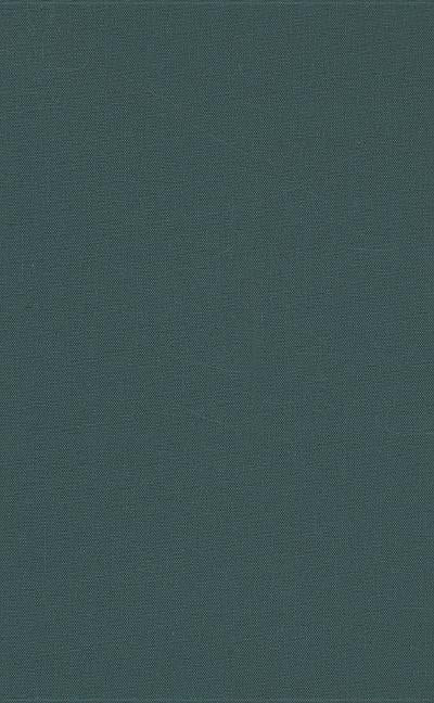 Linguistic Changes in Post-Communist Eastern Europe and Eurasia by Andrews, Ernest