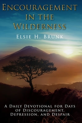 Encouragement in the Wilderness: A Daily Devotional for Days of Discouragement, Depression, and Despair by Brunk, Elsie H.