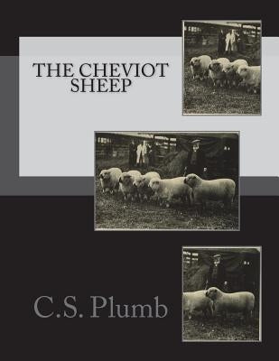 The Cheviot Sheep by Chambers, Jackson