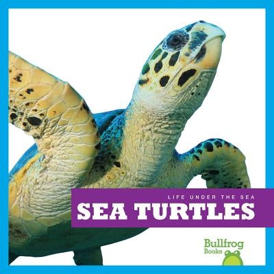 Sea Turtles by Meister, Cari