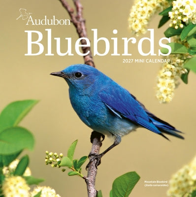 Audubon Bluebirds Mini Wall Calendar 2027 by National Audubon Society