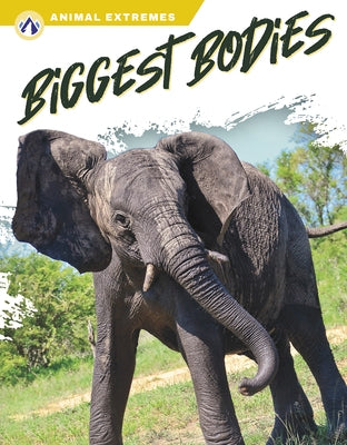 Biggest Bodies by Kirkman, Marissa
