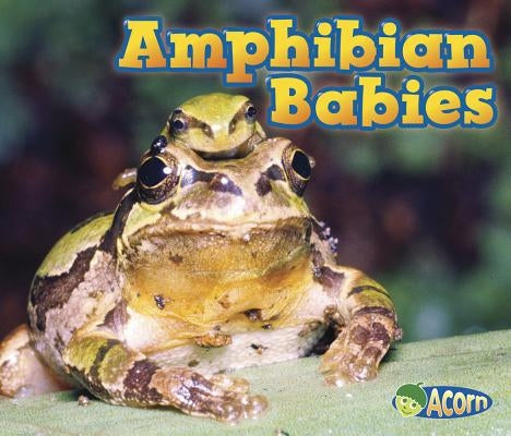 Amphibian Babies by Veitch, Catherine
