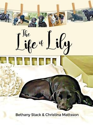The Life of Lily by Stack, Bethany