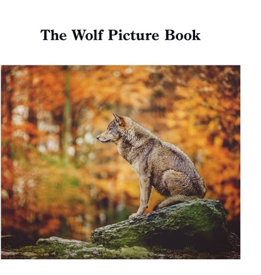 The Wolf Picture Book by Sechovicz, David