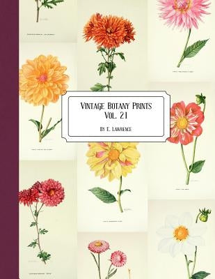 Vintage Botany Prints: Vol. 21 by Lawrence, E.