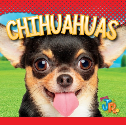 Chihuahuas by Storm, Marysa