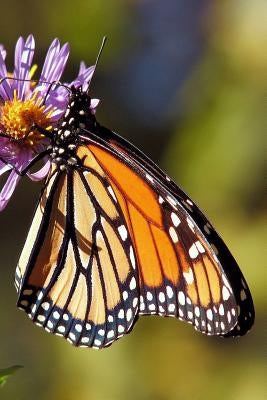 Monarch Butterfly: The Monarch Butterfly or Simply Monarch Is a Milkweed Butterfly in the Family Nymphalidae. by Journals, Planners and