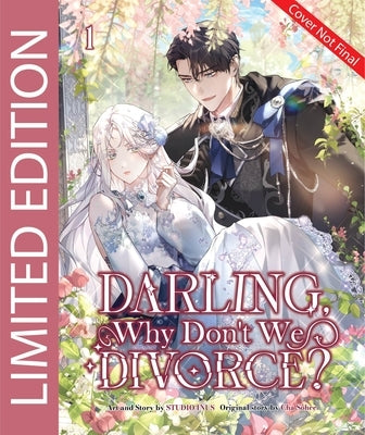 Darling, Why Don't We Divorce? Volume 1 by Cha, Sohee