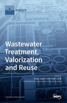 Wastewater Treatment, Valorization and Reuse by Jellali, Salah