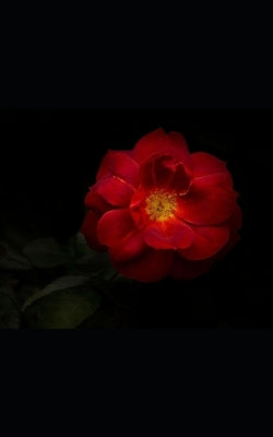 So Fucking Romantic: A collection of sensual and erotic poetry by Poetry, Fucking