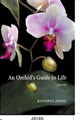 And & And by King, Bob