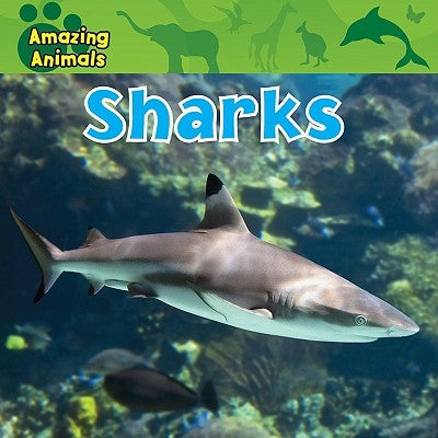 Sharks by Wilsdon, Christina