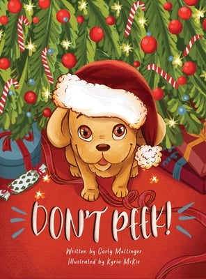 Don't Peek! by Mottinger, Carly