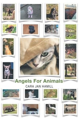 Angels for Animals by Hamill, Cara Jan