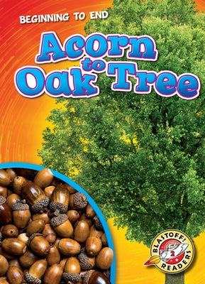 Acorn to Oak Tree by Neuenfeldt, Elizabeth