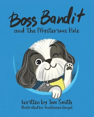 Boss Bandit and the Mysterious Hole by Benzel, Anastasiya