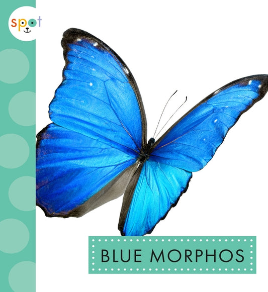 Blue Morphos by Thielges, Alissa