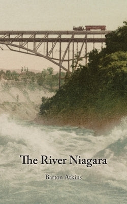 The River Niagara by Atkins, Barton
