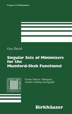 Singular Sets of Minimizers for the Mumford-Shah Functional by David, Guy