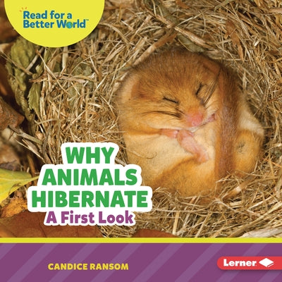 Why Animals Hibernate: A First Look by Ransom, Candice