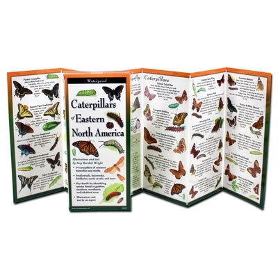 Caterpillars of Eastern North America by Wright, Amy Bartlett