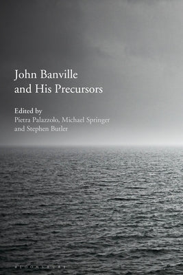 John Banville and His Precursors by Palazzolo, Pietra