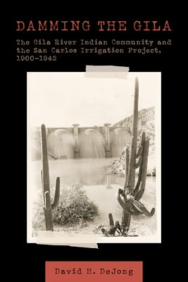 Damming the Gila: The Gila River Indian Community and the San Carlos Irrigation Project, 1900-1942 by Dejong, David H.