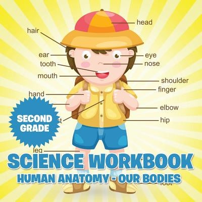 Second Grade Science Workbook: Human Anatomy - Our Bodies by Baby Professor
