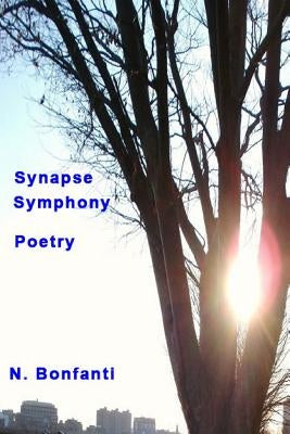 Synapse Symphony by Bonfanti, N.