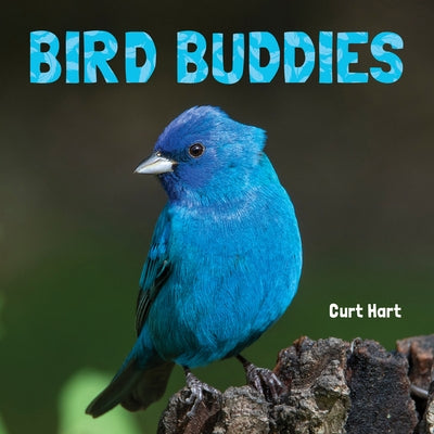 Bird Buddies by Hart, Curt