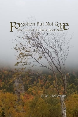 Forgotten But Not Gone: The Sum of its Parts: Book Nine by Holloway, E. M.