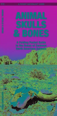 Animal Skulls & Bones Laminated: A Laminated Folding Guide to the Bones of Common North American Animals by Kavanagh, James