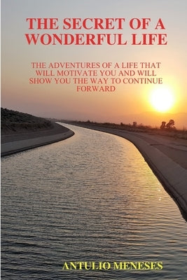 The Secret of a Wonderful Life by Meneses, Antulio