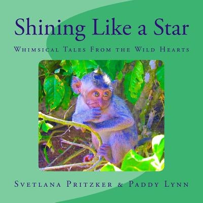 Shining Like a Star: Whimsical Tales From the Wild Hearts by Lynn, Paddy